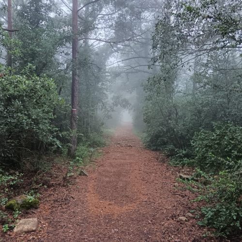 2c801bfb-99b0-443f-8cb6-e9c5f08b098e