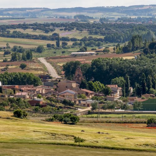 WhatsApp Image 2025-04-12 at 17.54.16 (3)