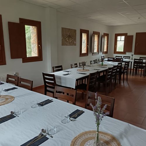 f6e05d00-773c-42b0-bc00-d1c92768c9ce