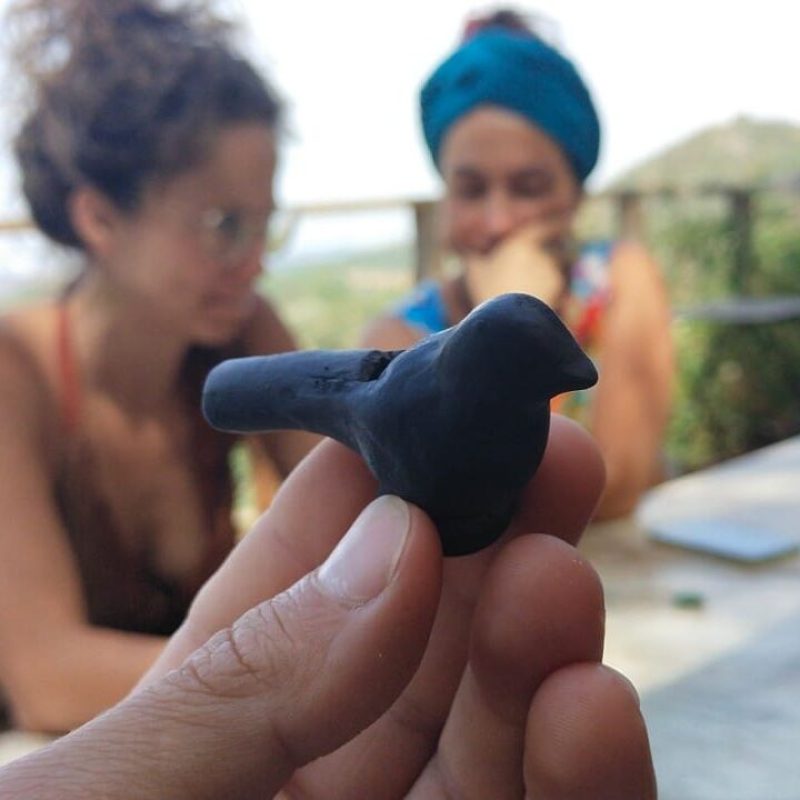 pajaro